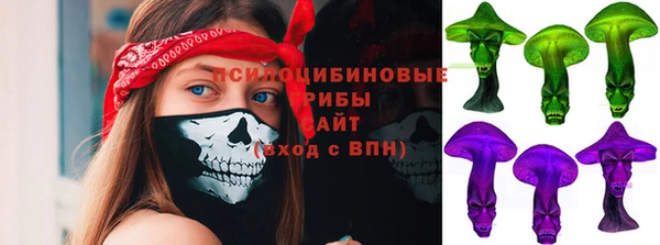 прущий лед Арсеньев