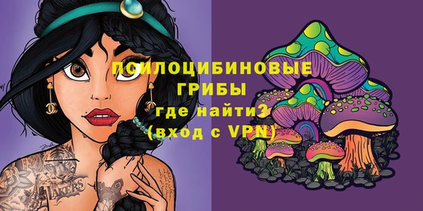 каннабис Аркадак