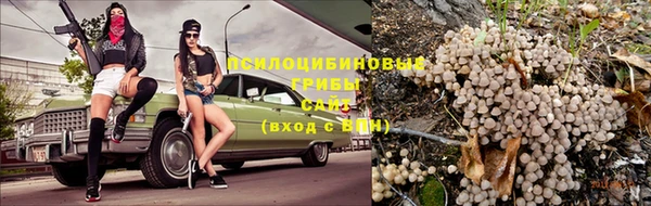 прущий лед Арсеньев