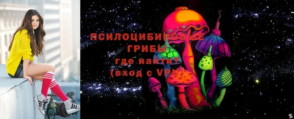 бошки Армянск