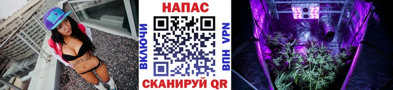 МАРИХУАНА ГИДРОПОН  цены   Ковылкино 